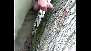 Gay Porn 3